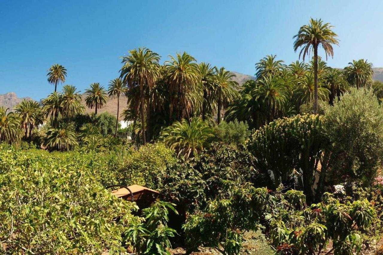 Casa Rural La Fuente De La Flora Santa Lucia Exterior foto